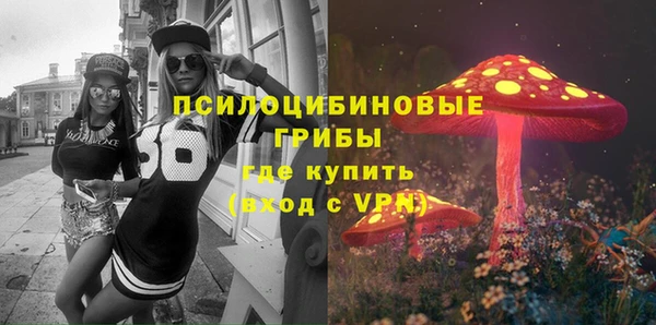 мдма Белокуриха