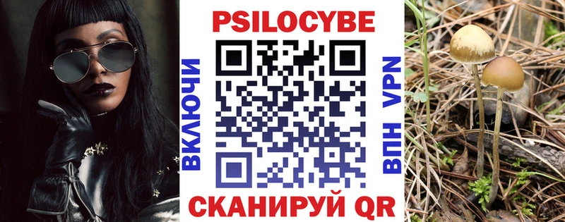 Псилоцибиновые грибы Psilocybe  купить  цена  Богородицк 