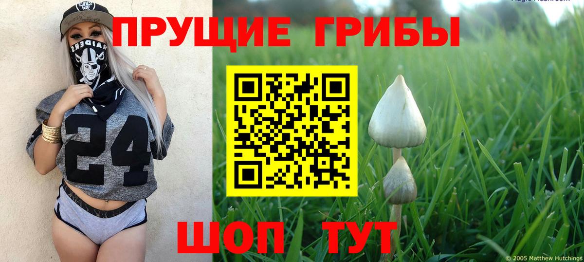 Галлюциногенные грибы мицелий  Богородицк 