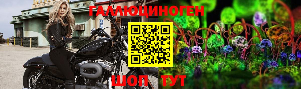 Псилоцибиновые грибы MAGIC MUSHROOMS  Вход с VPN  Богородицк 